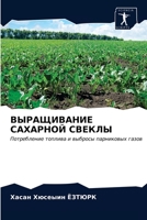 ВЫРАЩИВАНИЕ САХАРНОЙ СВ& 6203675083 Book Cover
