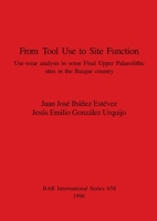 From Tool Use to Site Function: Use-wear analysis in some Final Upper Palaeolithic sites in the Basque country 0860548473 Book Cover