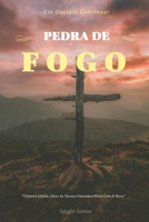 PEDRA DE FOGO: Ela decidiu continuar a luta. B092H87LYK Book Cover
