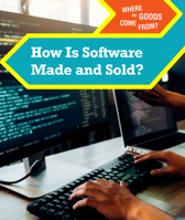 How Is Software Made and Sold? 1502650487 Book Cover