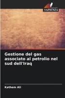 Gestione del gas associato al petrolio nel sud dell'Iraq (Italian Edition) 6209034888 Book Cover