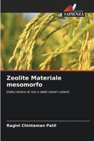 Zeolite Materiale mesomorfo: Dalla cenere di riso e dalle ceneri volanti 6205996456 Book Cover