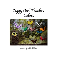 Ziggy Owl Teaches Colors 1670482529 Book Cover