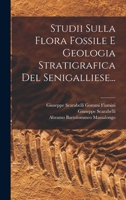 Studii Sulla Flora Fossile E Geologia Stratigrafica Del Senigalliese... 1017268274 Book Cover