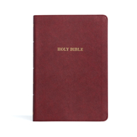 KJV Large Print Thinline Bible, Burgundy LeatherTouch 1087782783 Book Cover