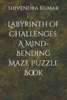 Labyrinth of Challenges: A Mind-Bending Maze Puzzle Book B0CVHQ679X Book Cover