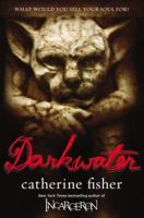 Darkwater Hall 014242515X Book Cover