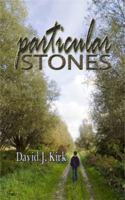 Particular Stones 1937273067 Book Cover