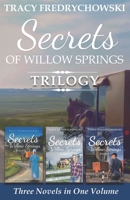Secrets of Willow Springs Trilogy: Amish Mystery Series - Three Novels in One Volume B0C8RQSXXM Book Cover