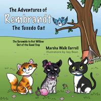 The Adventures of Rembrandt the Tuxedo Cat: Helps Willow, the Golden Retriever, out of a Ravine 195443765X Book Cover