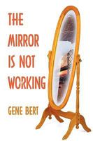 The Mirror Is Not Working 1438976992 Book Cover