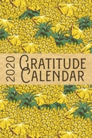 2020 Gratitude Calendar: Pineapple - 365 Days Dated Gratitude Journal For A Thankful New Year 1702444996 Book Cover