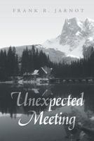 Unexpected Meeting 148361770X Book Cover