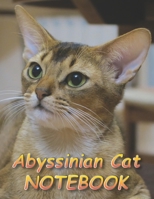 Abyssinian Cat NOTEBOOK: Notebooks and Journals 110 pages (8.5x11) 1651155429 Book Cover