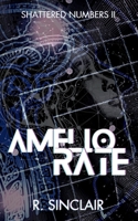 Ameliorate: Shattered Numbers II B0GWWK2NM4 Book Cover