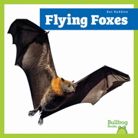 Flying Foxes (Bat Buddies) B0FNVTTC88 Book Cover