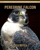 Peregrine Falcon: Amazing Pictures & Fun Facts on Animals in Nature 1696526892 Book Cover