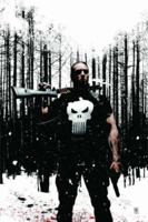 The Punisher MAX, Vol. 4 0785128670 Book Cover