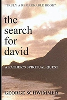 The Search for David 1571740511 Book Cover
