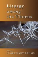 Liturgy among the Thorns: Essays on Worship in the Reformed Church in America (The Historical Series of the Reformed Church in America) 0802860990 Book Cover
