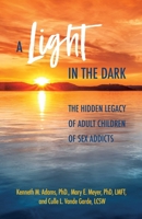 A Light in the Dark: The Hidden Legacy of Adult Children of Sex Addicts 0757324649 Book Cover