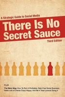 There Is No Secret Sauce: A Strategic Guide to Social Media 1607460262 Book Cover