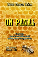 Un Panal 132911079X Book Cover
