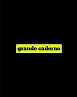 grande caderno: 800 p�ginas. Papel pautado. 20,32 x 25,4 cm. 1073020134 Book Cover