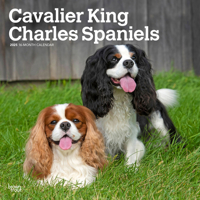 Cavalier King Charles Spaniels 2025 12 X 24 Inch Monthly Square Wall Calendar Plastic-Free 1975476824 Book Cover