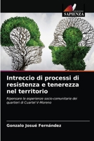 Intreccio di processi di resistenza e tenerezza nel territorio: Ripensare le esperienze socio-comunitarie dei quartieri di Cuartel V-Moreno 6203408379 Book Cover