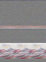 Flies 1937027015 Book Cover