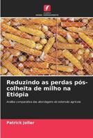 Reduzindo as perdas pós-colheita de milho na Etiópia (Portuguese Edition) 6209795234 Book Cover