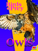 Owls 1605969524 Book Cover