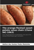 The orange-fleshed sweet potato value chain 6209749119 Book Cover