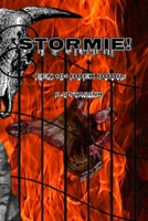 Stormie!: Een 18+ boek B091F8W5CY Book Cover