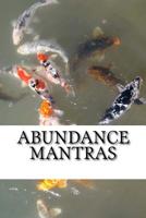 Abundance Mantras 1542446864 Book Cover
