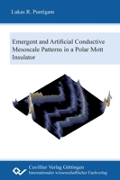 Emergent and artificial conductive mesoscale patterns in a polar Mott insulator 3689520002 Book Cover