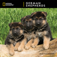National Geographic German Shepherds 2021 Wall Calendar 1772185167 Book Cover