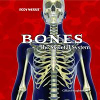Bones: The Skeletal System (Body Works) 1404221824 Book Cover