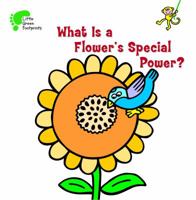 What Is a Flower's Special Power? 1607546957 Book Cover