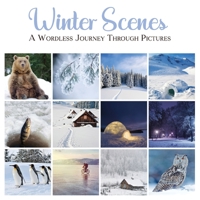 Winter Scenes: A Wordless Journey Through Pictures B09DJ92VMY Book Cover