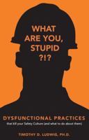 Dysfunctional Practices That Kill Your Safety Culture : (and What to Do about Them) - Alternate Cover 099986162X Book Cover