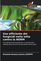 Uso efficiente dei fungicidi nella lotta contro la NORM (Italian Edition) 620897223X Book Cover