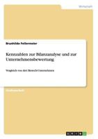 Kennzahlen Zur Bilanzanalyse Und Zur Unternehmensbewertung 3640624262 Book Cover