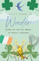 Little Wings of Wonder: Celtic Bird Magic B0GMLNPXQH Book Cover