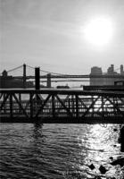 INFINITE BROWN EAGLE Vol. 1 0578489376 Book Cover