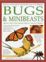The Illustrated Wildlife Encyclopedia: Bugs & Minibeasts: Beetles, Bugs, Butterflies, Moths, Insects, Spiders 1861474229 Book Cover