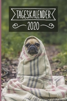 Tageskalender 2020: Terminkalender ca DIN A5 weiß über 370 Seiten I 1 Tag eine Seite I Jahreskalender I Mops I Hunde 1703049004 Book Cover