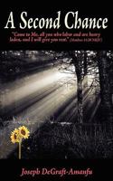 A Second Chance 1606435264 Book Cover