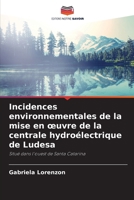 Incidences environnementales de la mise en oeuvre de la centrale hydroélectrique de Ludesa (French Edition) 6208189004 Book Cover